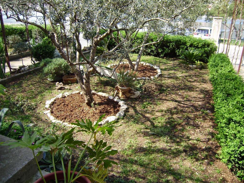 Apartments Kapetanovi Dvori Trogir Bilik gambar